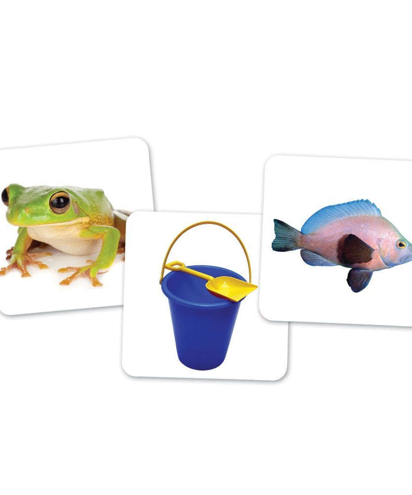 مجموعة فرز حروف العلة على شكل بومة من Learning Resources، نشاط تعليمي عملي للأطفال مع 100 بطاقة صور و6 حاويات بومة، تُعلّم أصوات حروف العلة القصيرة والطويلة، للأعمار من 5 سنوات فما فوق