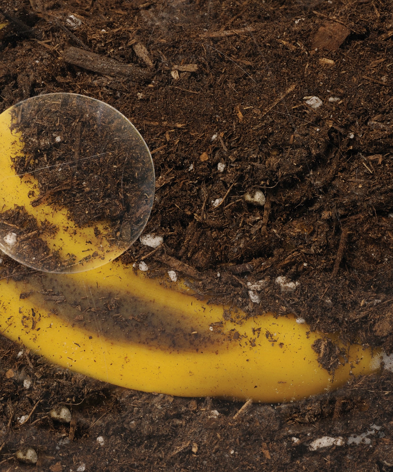 مصادر التعلم: حاوية السماد العضوي، مجموعة تعليمية تفاعلية للتحلل، مورد تعليمي في مجالات العلوم والتكنولوجيا والهندسة والرياضيات، للأعمار من 4 سنوات فما فوق