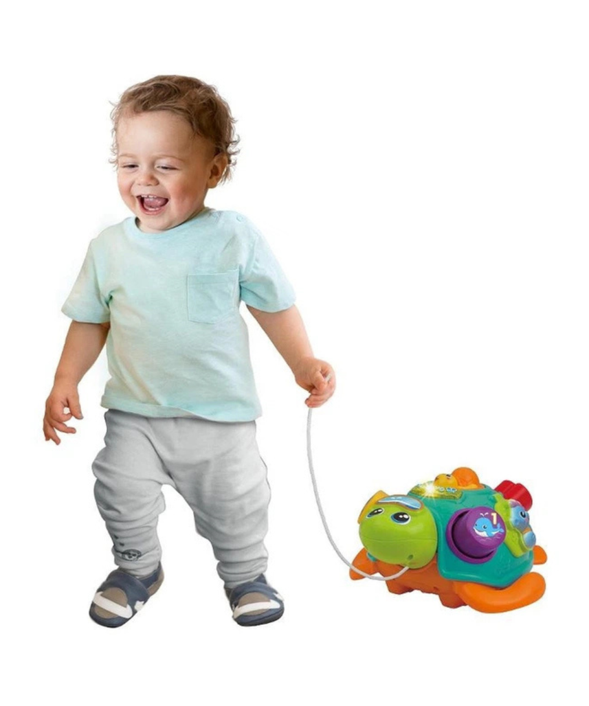 Winfun Tadzio Turtle Interactive Toy, Shape Sorter, Pull-Along Educational Toy for Toddlers, Light and Music, Ages 6 Months+