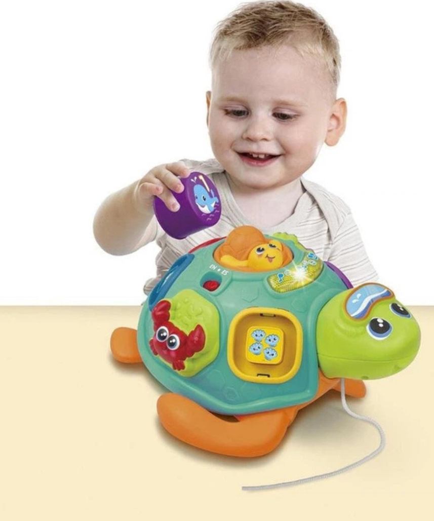 Winfun Tadzio Turtle Interactive Toy, Shape Sorter, Pull-Along Educational Toy for Toddlers, Light and Music, Ages 6 Months+
