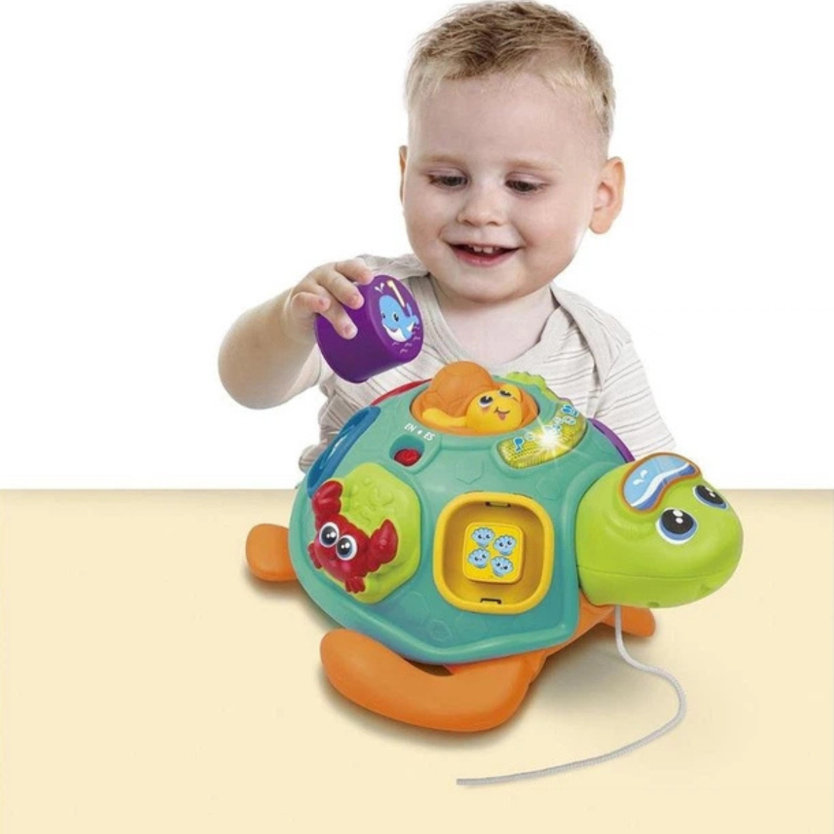 Winfun Tadzio Turtle Interactive Toy, Shape Sorter, Pull-Along Educational Toy for Toddlers, Light and Music, Ages 6 Months+