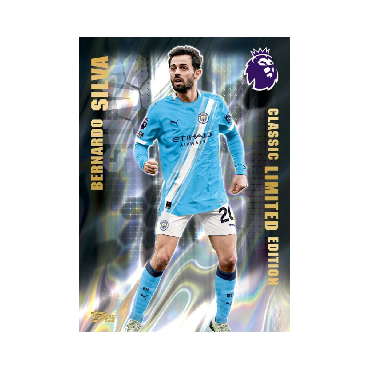 Topps Premier League 2025 2026 Football Trading Cards Starter Pack, Includes 10 Cards with Special Inserts, Gold Lion Limited Card, Collector Binder Checklist and Guide, Official Premier League Collectible for Kids and Adults