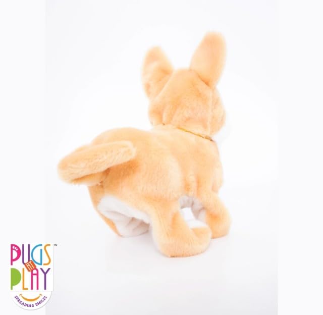 Pugs At Play Flipping Dixie