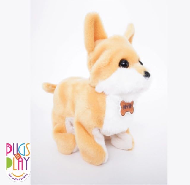 Pugs At Play Flipping Dixie