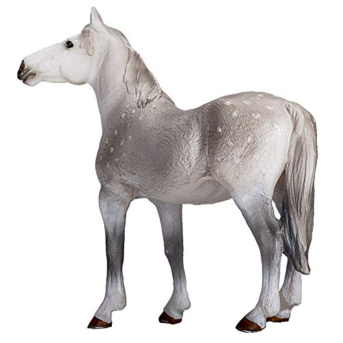 MOJO Orlov Trotter
