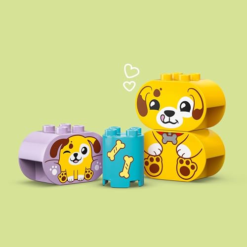 LEGO DUPLO Shape Sorter: Puppy House - Educational Sorting Toy for Toddlers, with Colourful Bricks in Various Shapes - Fine Motor Skill Development Set for 18 Month Old Girls & Boys - 10441