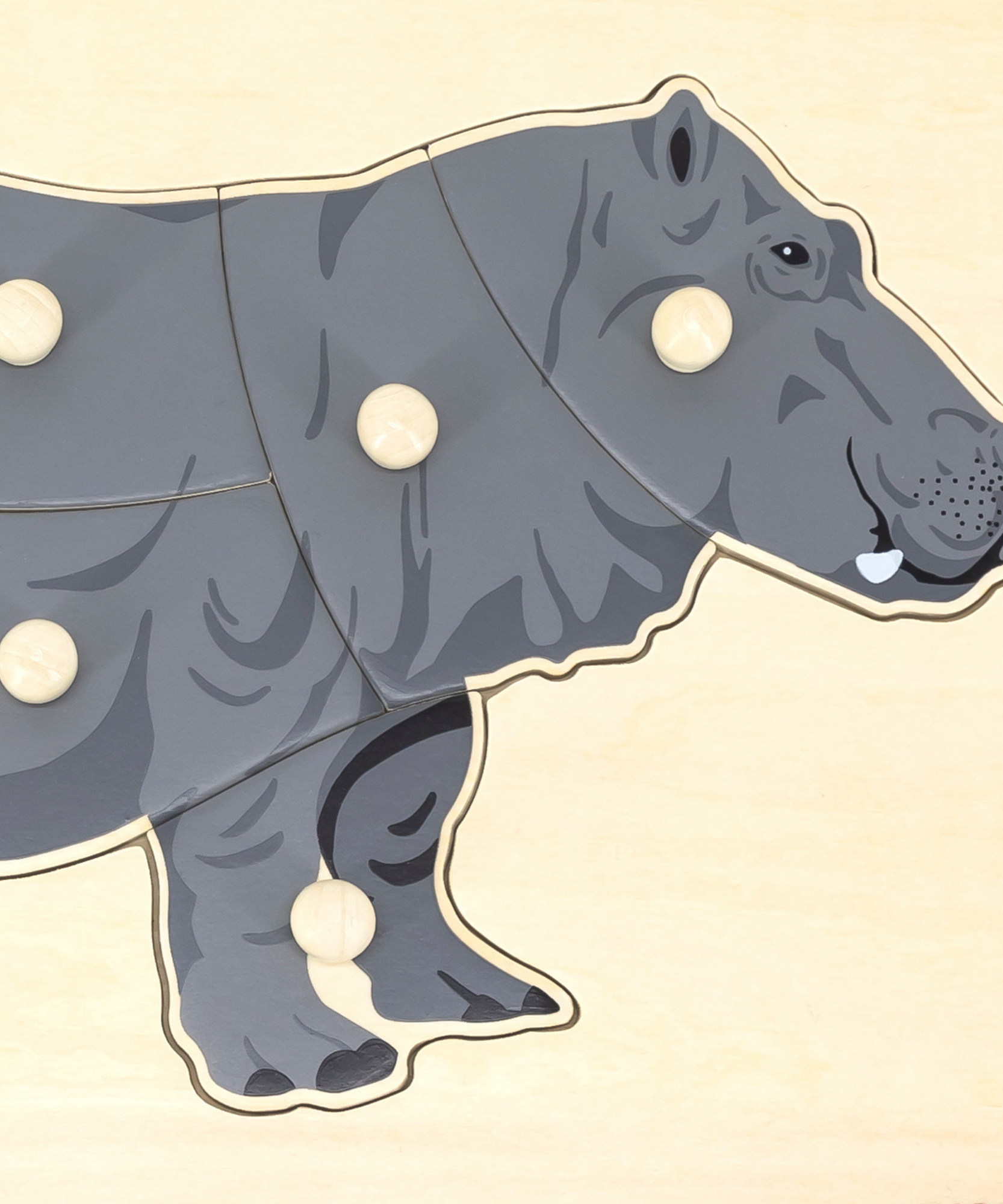 فيجا هيبو، حيوانات برية، أحجية بمقبض من 8 قطع، لعبة مونتيسوري الخشبية، تنمي المهارات الحسية والإدراكية والحركية الدقيقة، لعبة تعليمية للأطفال غير سامة وصديقة للبيئة، مناسبة للأطفال من سن 18 شهرًا فما فوق