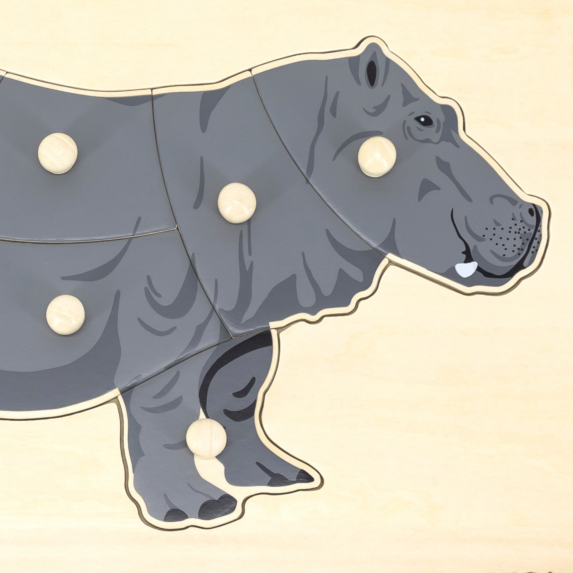 فيجا هيبو، حيوانات برية، أحجية بمقبض من 8 قطع، لعبة مونتيسوري الخشبية، تنمي المهارات الحسية والإدراكية والحركية الدقيقة، لعبة تعليمية للأطفال غير سامة وصديقة للبيئة، مناسبة للأطفال من سن 18 شهرًا فما فوق