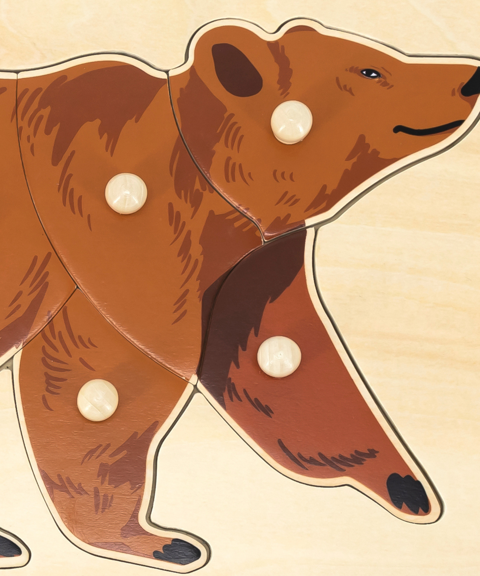 Viga Bear, Wild Animals, 8 Piece Knob Puzzle, Montessori Wooden Toy, Develops Sensory, Cognitive & Fine Motor Skills, Non-Toxic & Eco-friendly Kids Educational Toy, Suitable for Children Aged 18M+