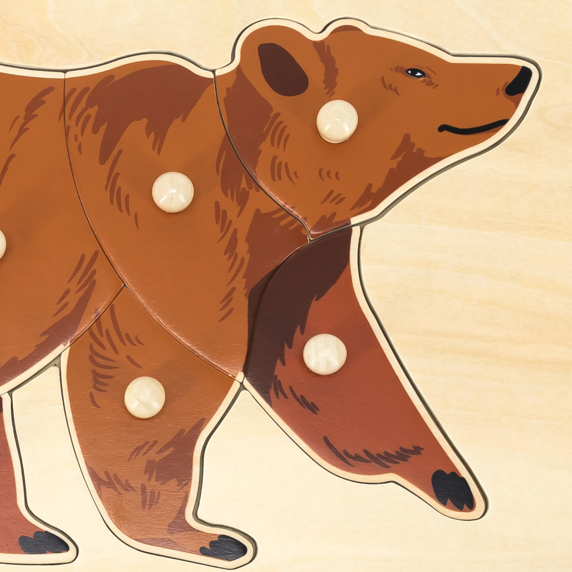 Viga Bear, Wild Animals, 8 Piece Knob Puzzle, Montessori Wooden Toy, Develops Sensory, Cognitive & Fine Motor Skills, Non-Toxic & Eco-friendly Kids Educational Toy, Suitable for Children Aged 18M+