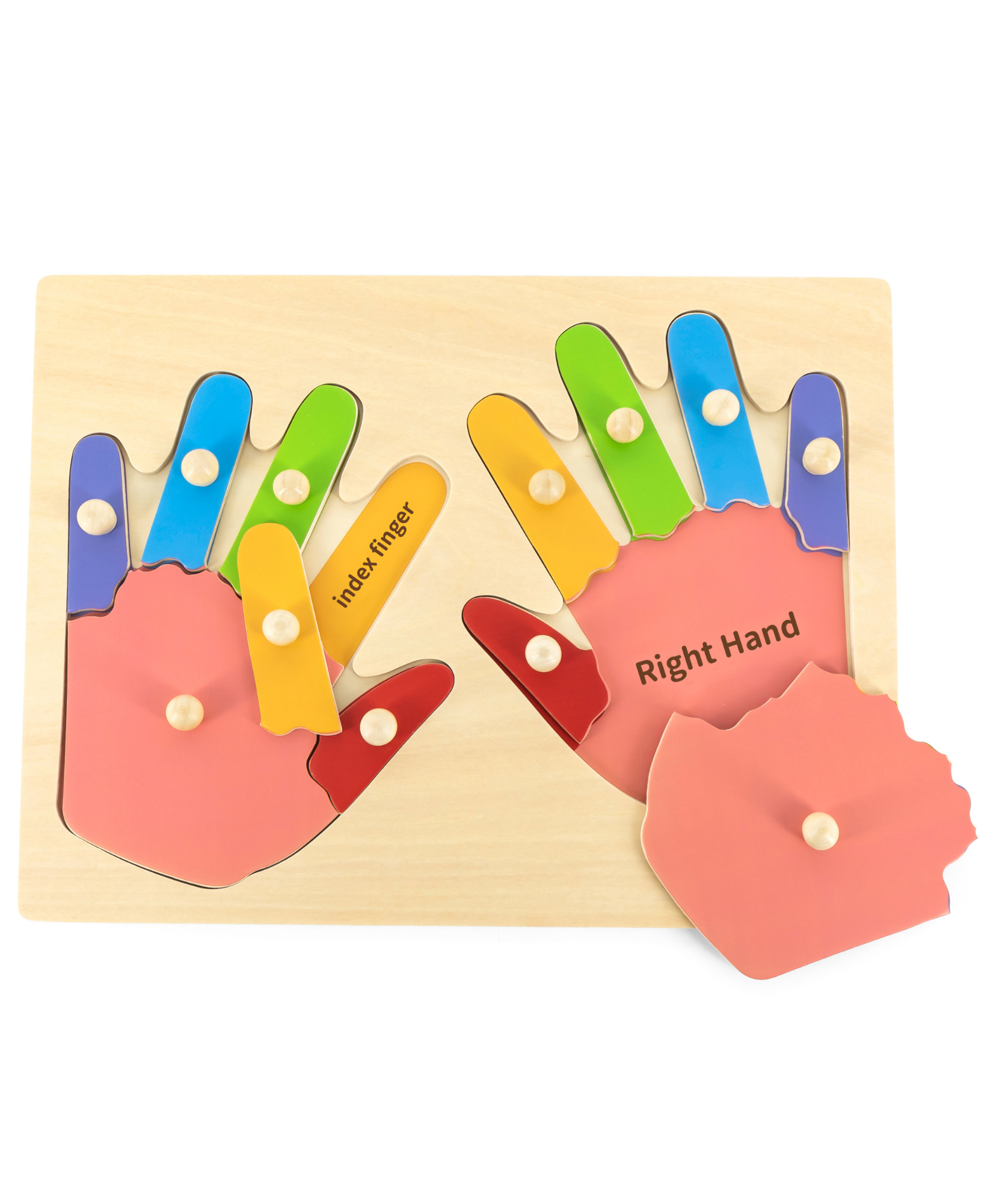 لعبة فيجا هاندز آند فينجرز، أحجية بمقابض من 12 قطعة، لعبة مونتيسوري خشبية، تُنمّي المهارات الحسية والإدراكية والحركية الدقيقة، لعبة تعليمية للأطفال غير سامة وصديقة للبيئة، مناسبة للأطفال من سن 18 شهرًا فما فوق