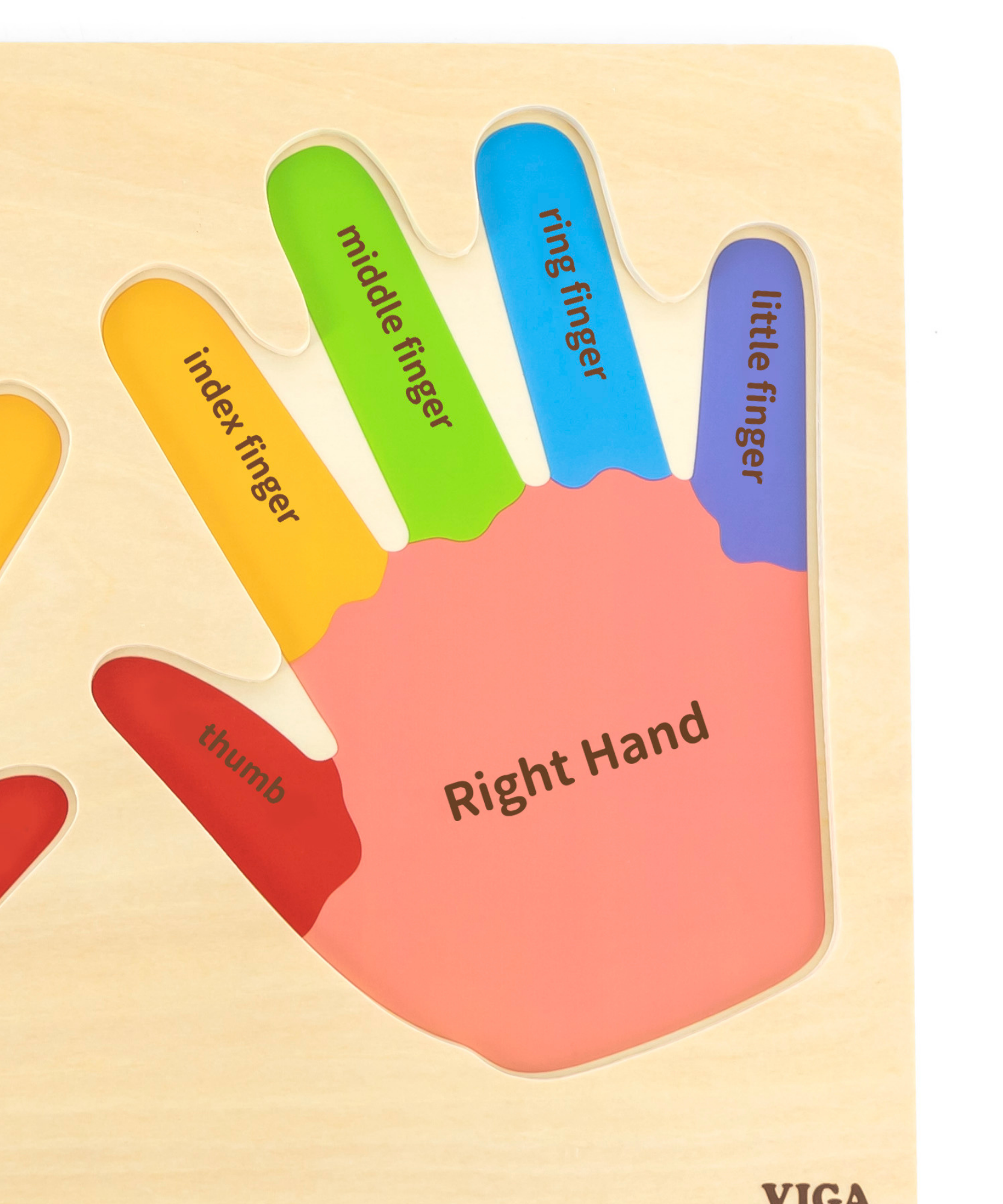 لعبة فيجا هاندز آند فينجرز، أحجية بمقابض من 12 قطعة، لعبة مونتيسوري خشبية، تُنمّي المهارات الحسية والإدراكية والحركية الدقيقة، لعبة تعليمية للأطفال غير سامة وصديقة للبيئة، مناسبة للأطفال من سن 18 شهرًا فما فوق