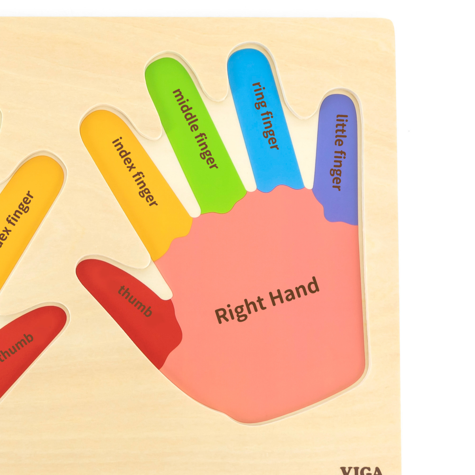 لعبة فيجا هاندز آند فينجرز، أحجية بمقابض من 12 قطعة، لعبة مونتيسوري خشبية، تُنمّي المهارات الحسية والإدراكية والحركية الدقيقة، لعبة تعليمية للأطفال غير سامة وصديقة للبيئة، مناسبة للأطفال من سن 18 شهرًا فما فوق