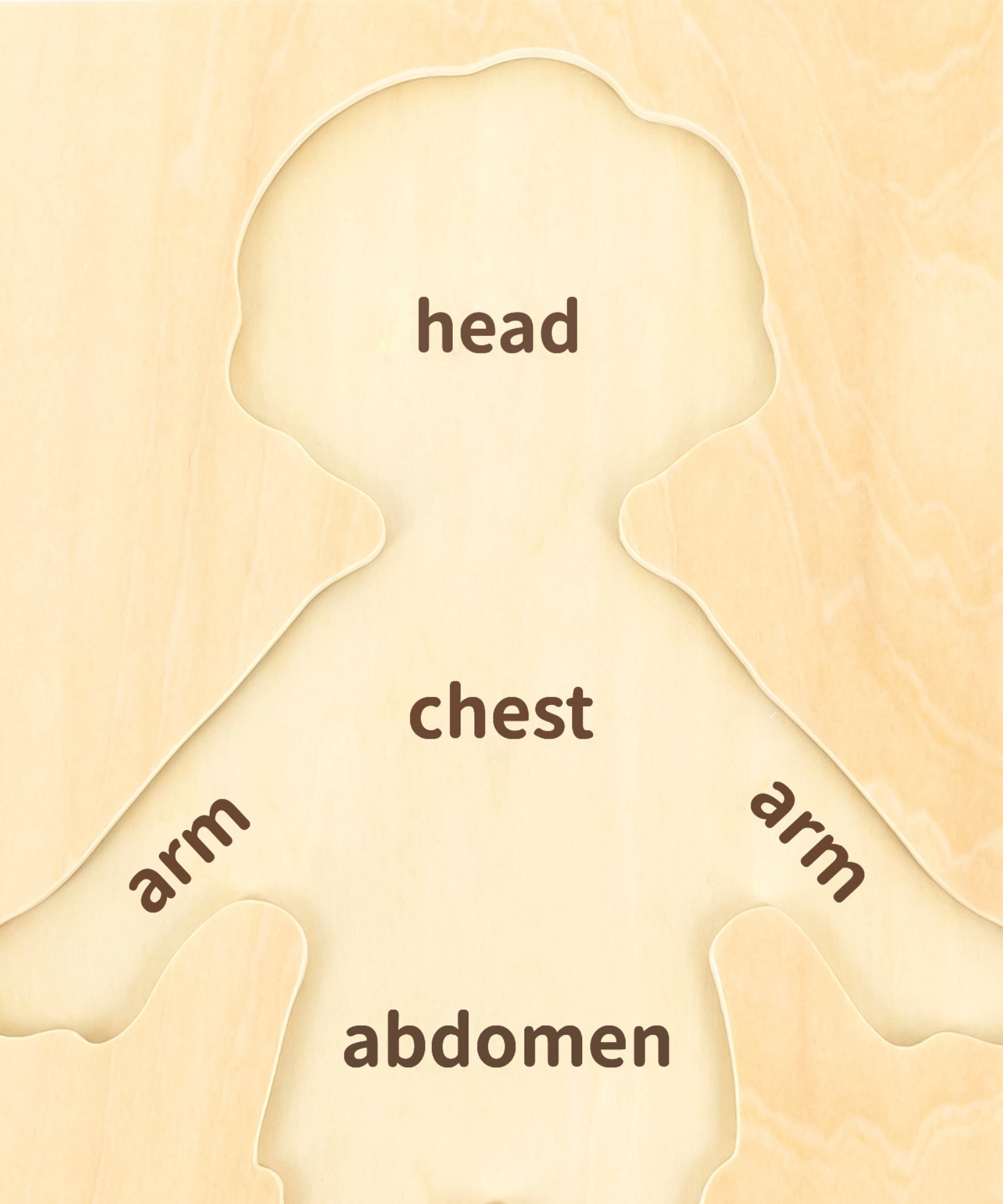 Viga Boys Body, 7 Piece Knob Puzzle, Montessori Wooden Toy, Develops Sensory, Cognitive & Fine Motor Skills, Non-Toxic & Eco-friendly Kids Educational Toy, Suitable for Boys and Girls Aged 18M+