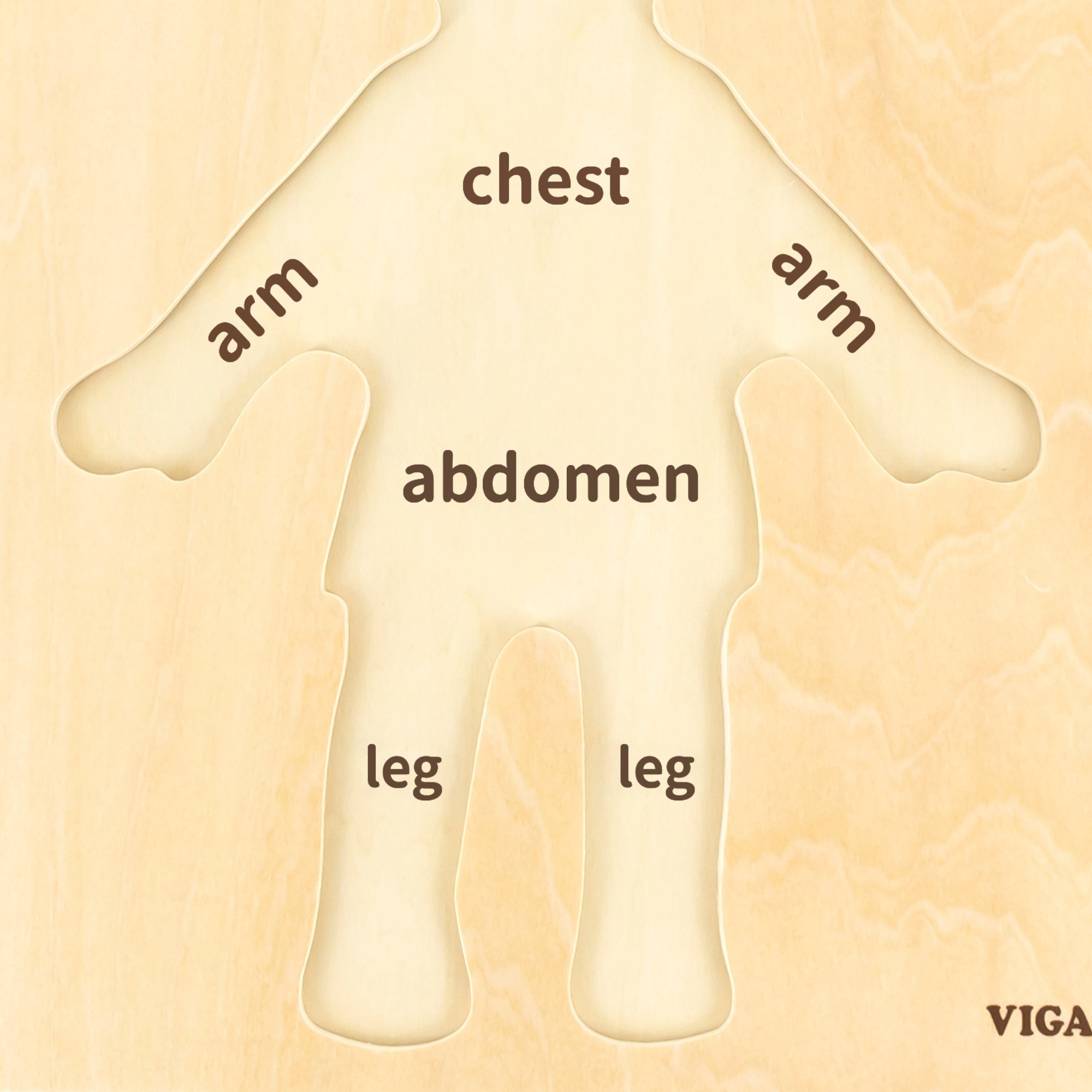 Viga Boys Body, 7 Piece Knob Puzzle, Montessori Wooden Toy, Develops Sensory, Cognitive & Fine Motor Skills, Non-Toxic & Eco-friendly Kids Educational Toy, Suitable for Boys and Girls Aged 18M+