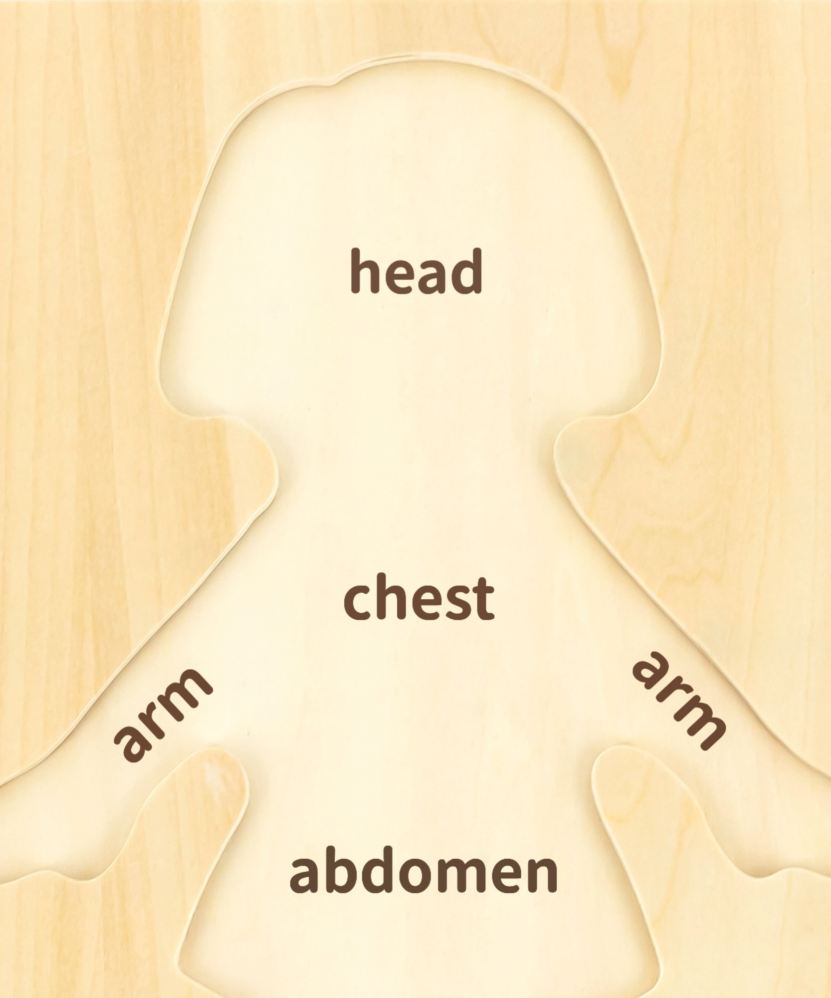 لعبة أحجية مقبض الجسم للبنات من فيجا، مكونة من 7 قطع، لعبة مونتيسوري الخشبية، تنمي المهارات الحسية والإدراكية والحركية الدقيقة، لعبة تعليمية للأطفال غير سامة وصديقة للبيئة، مناسبة للأولاد والبنات من سن 18 شهرًا فما فوق