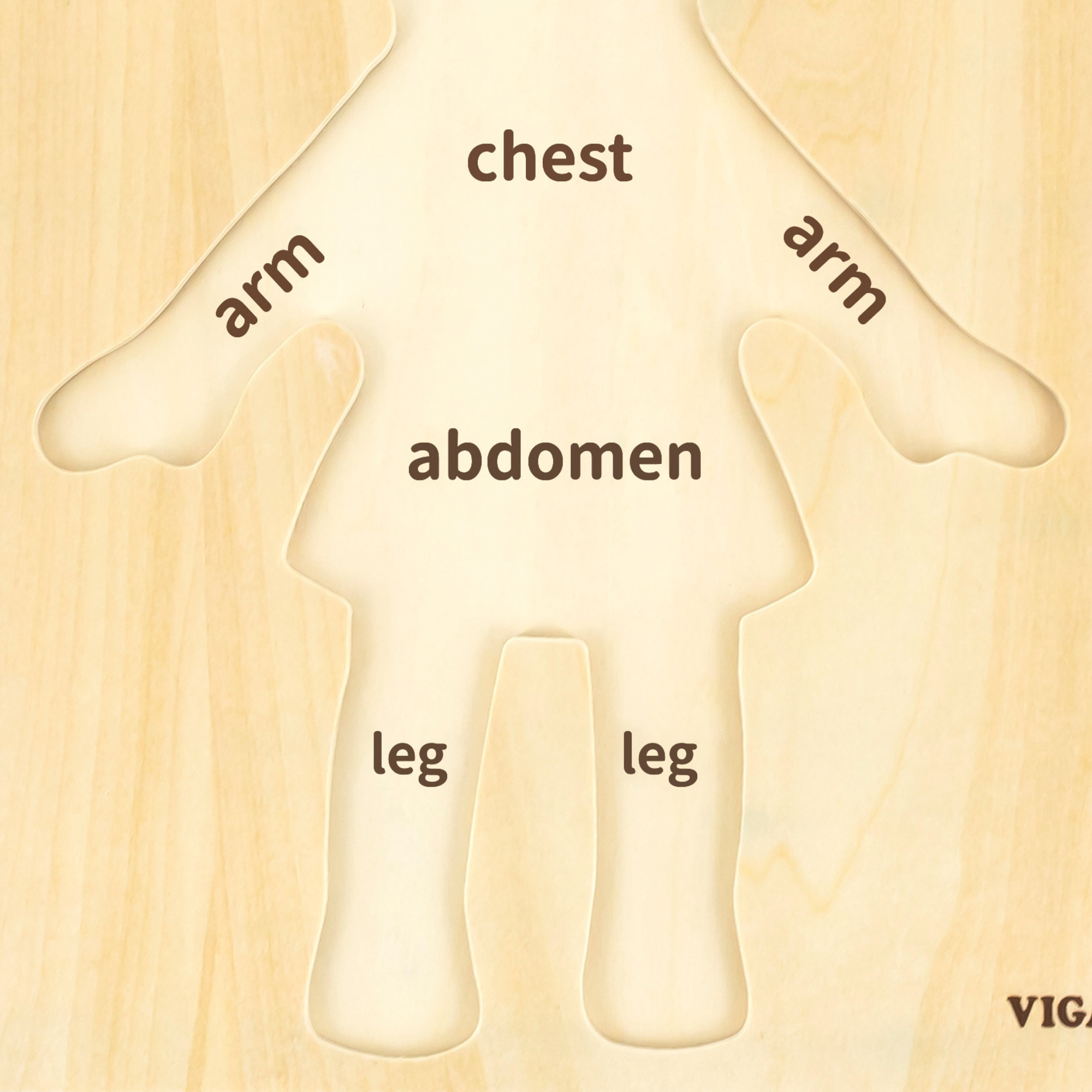 لعبة أحجية مقبض الجسم للبنات من فيجا، مكونة من 7 قطع، لعبة مونتيسوري الخشبية، تنمي المهارات الحسية والإدراكية والحركية الدقيقة، لعبة تعليمية للأطفال غير سامة وصديقة للبيئة، مناسبة للأولاد والبنات من سن 18 شهرًا فما فوق