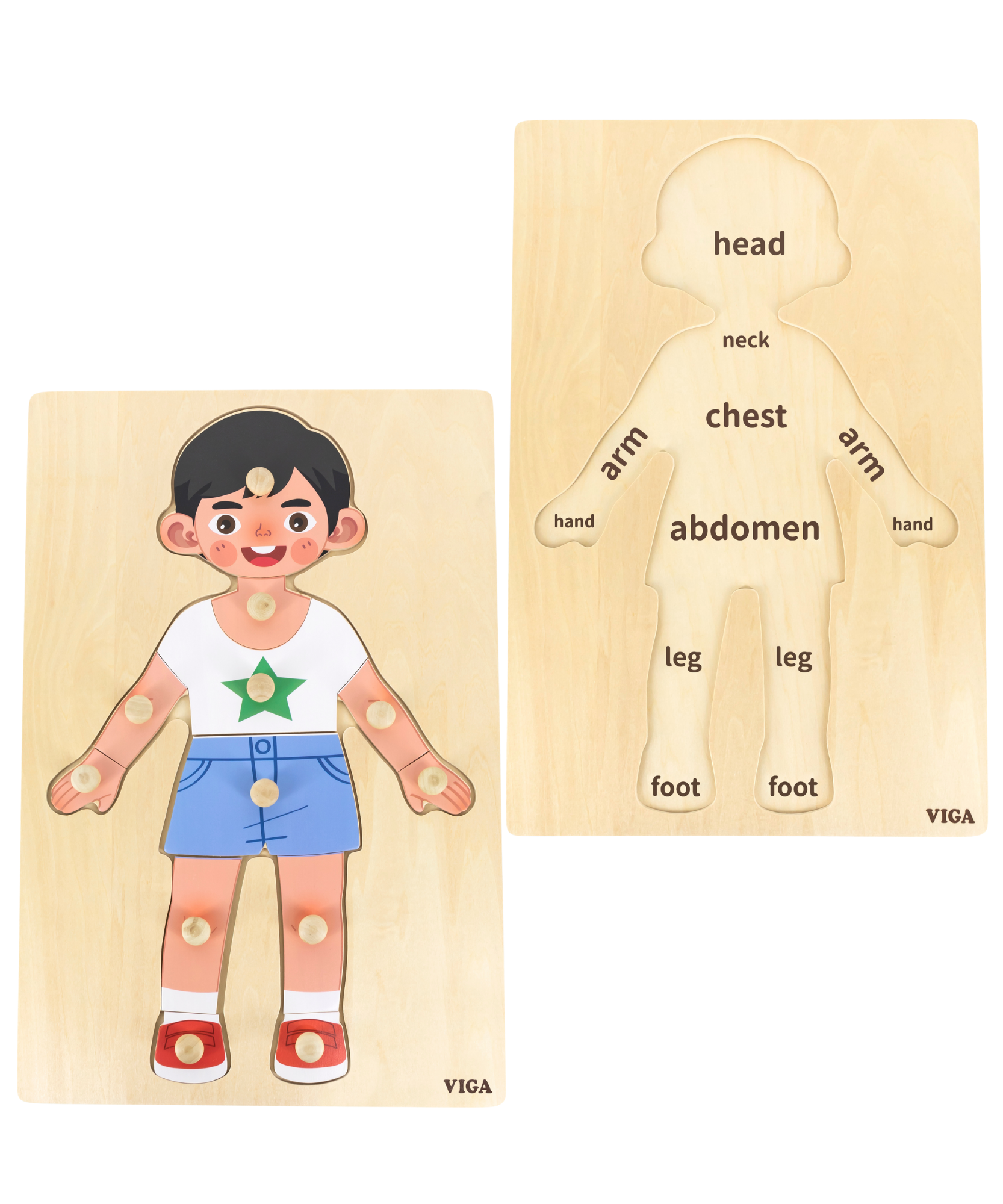 Viga Boys Body, 12 Piece Knob Puzzle, Montessori Wooden Toy, Develops Sensory, Cognitive & Fine Motor Skills, Non-Toxic & Eco-friendly Kids Educational Toy, Suitable for Boys and Girls Aged 18M+