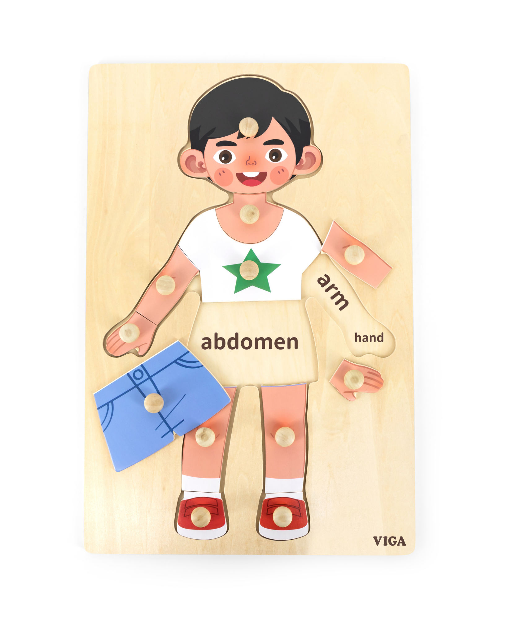 Viga Boys Body, 12 Piece Knob Puzzle, Montessori Wooden Toy, Develops Sensory, Cognitive & Fine Motor Skills, Non-Toxic & Eco-friendly Kids Educational Toy, Suitable for Boys and Girls Aged 18M+