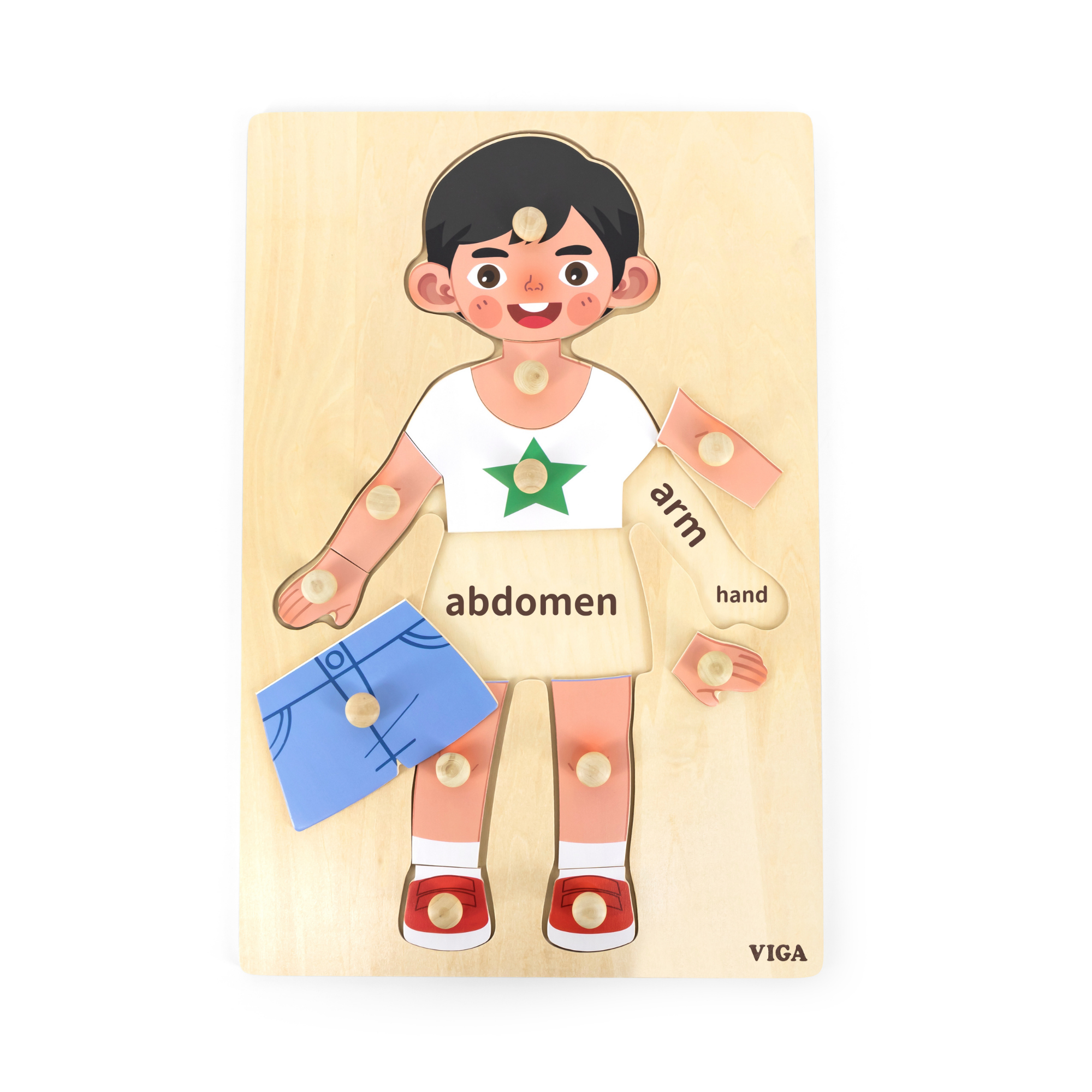 Viga Boys Body, 12 Piece Knob Puzzle, Montessori Wooden Toy, Develops Sensory, Cognitive & Fine Motor Skills, Non-Toxic & Eco-friendly Kids Educational Toy, Suitable for Boys and Girls Aged 18M+