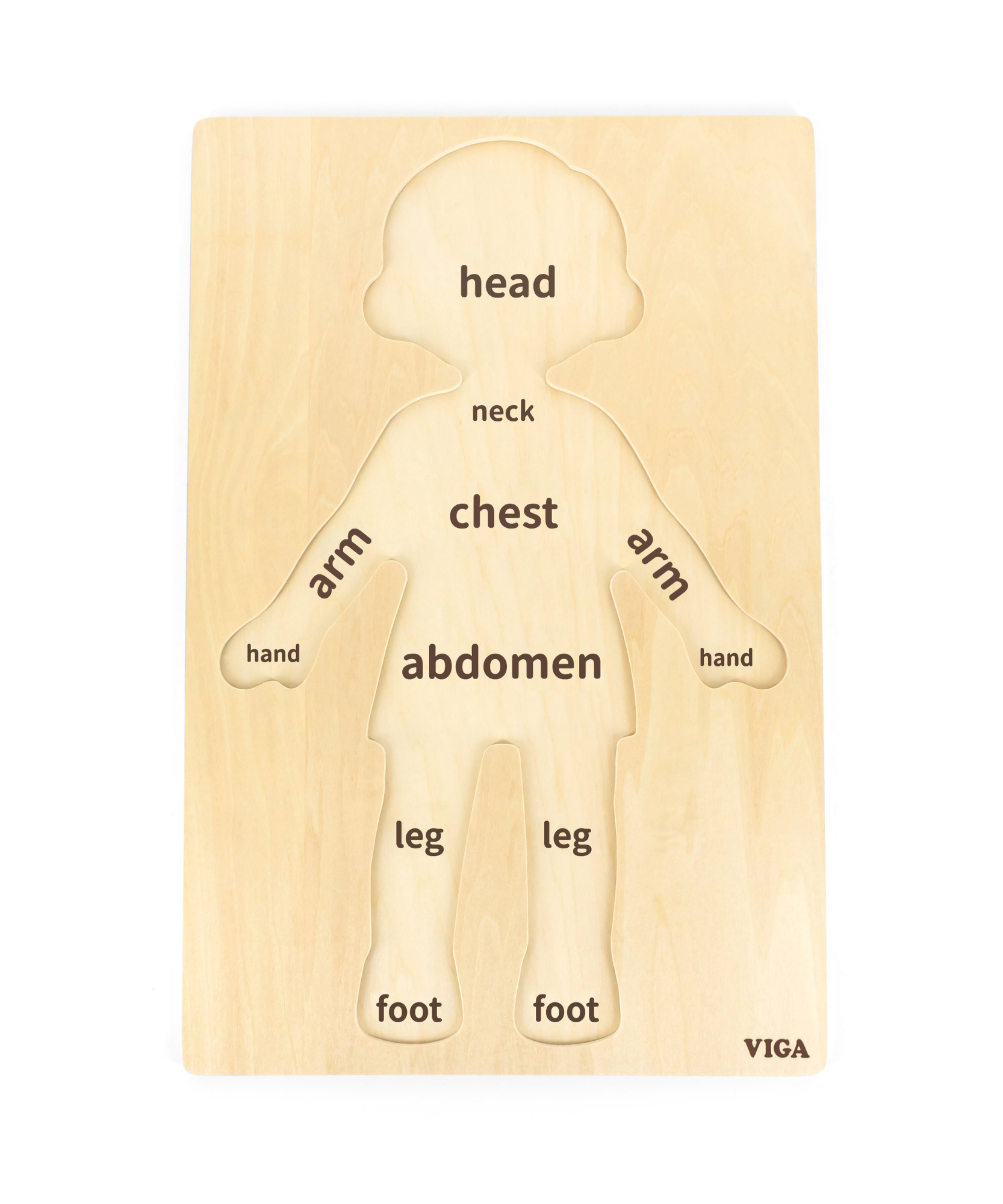 Viga Boys Body, 12 Piece Knob Puzzle, Montessori Wooden Toy, Develops Sensory, Cognitive & Fine Motor Skills, Non-Toxic & Eco-friendly Kids Educational Toy, Suitable for Boys and Girls Aged 18M+