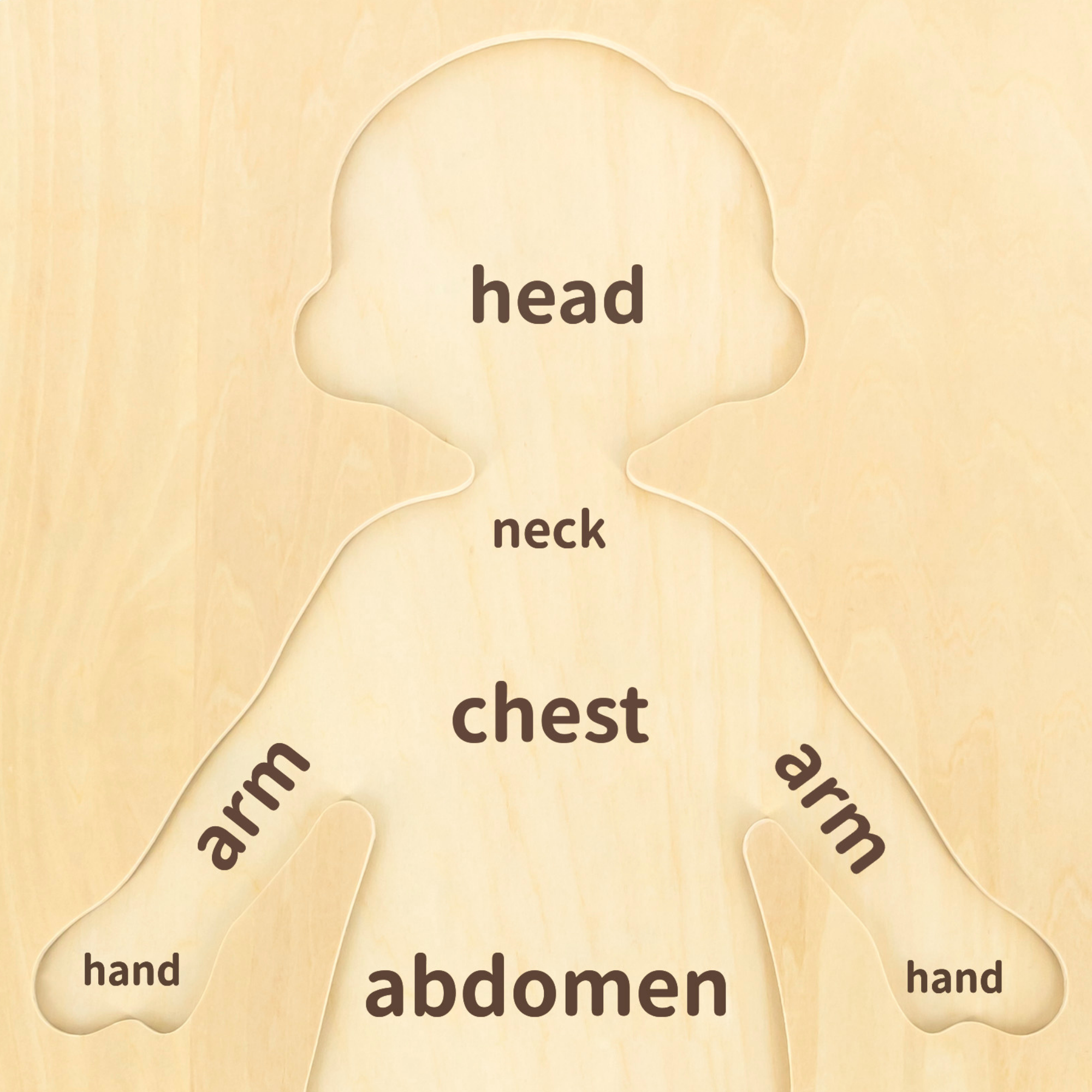 Viga Boys Body, 12 Piece Knob Puzzle, Montessori Wooden Toy, Develops Sensory, Cognitive & Fine Motor Skills, Non-Toxic & Eco-friendly Kids Educational Toy, Suitable for Boys and Girls Aged 18M+