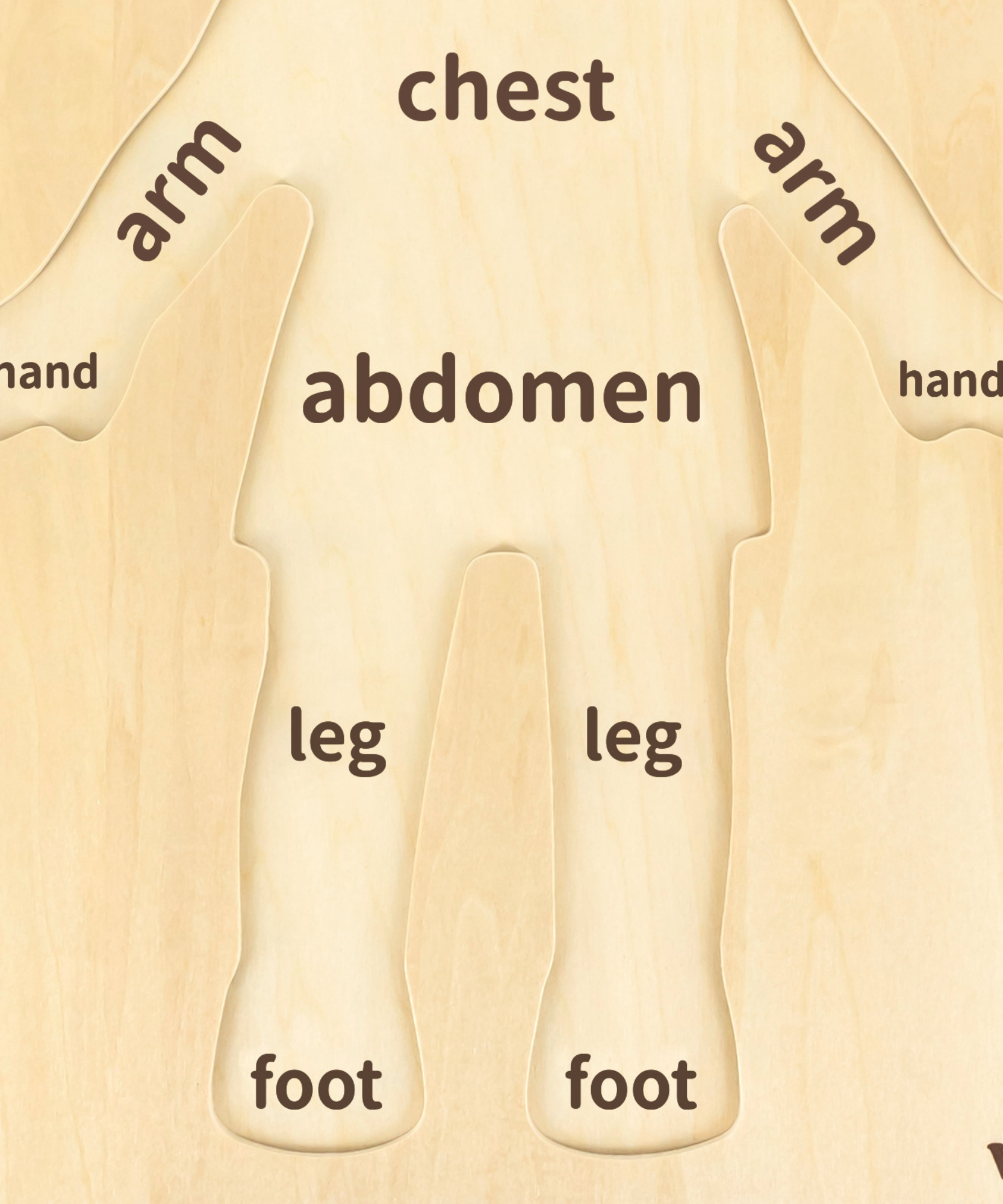 Viga Boys Body, 12 Piece Knob Puzzle, Montessori Wooden Toy, Develops Sensory, Cognitive & Fine Motor Skills, Non-Toxic & Eco-friendly Kids Educational Toy, Suitable for Boys and Girls Aged 18M+