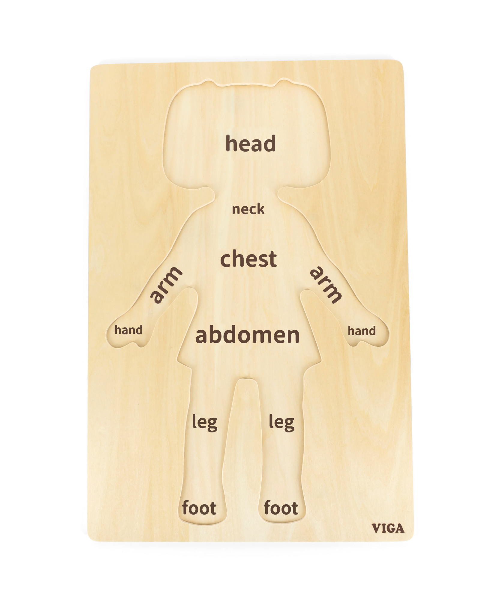 لعبة أحجية مقبض الجسم للبنات من فيجا، مكونة من 12 قطعة، لعبة مونتيسوري الخشبية، تنمي المهارات الحسية والإدراكية والحركية الدقيقة، لعبة تعليمية للأطفال غير سامة وصديقة للبيئة، مناسبة للأولاد والبنات من سن 18 شهرًا فما فوق