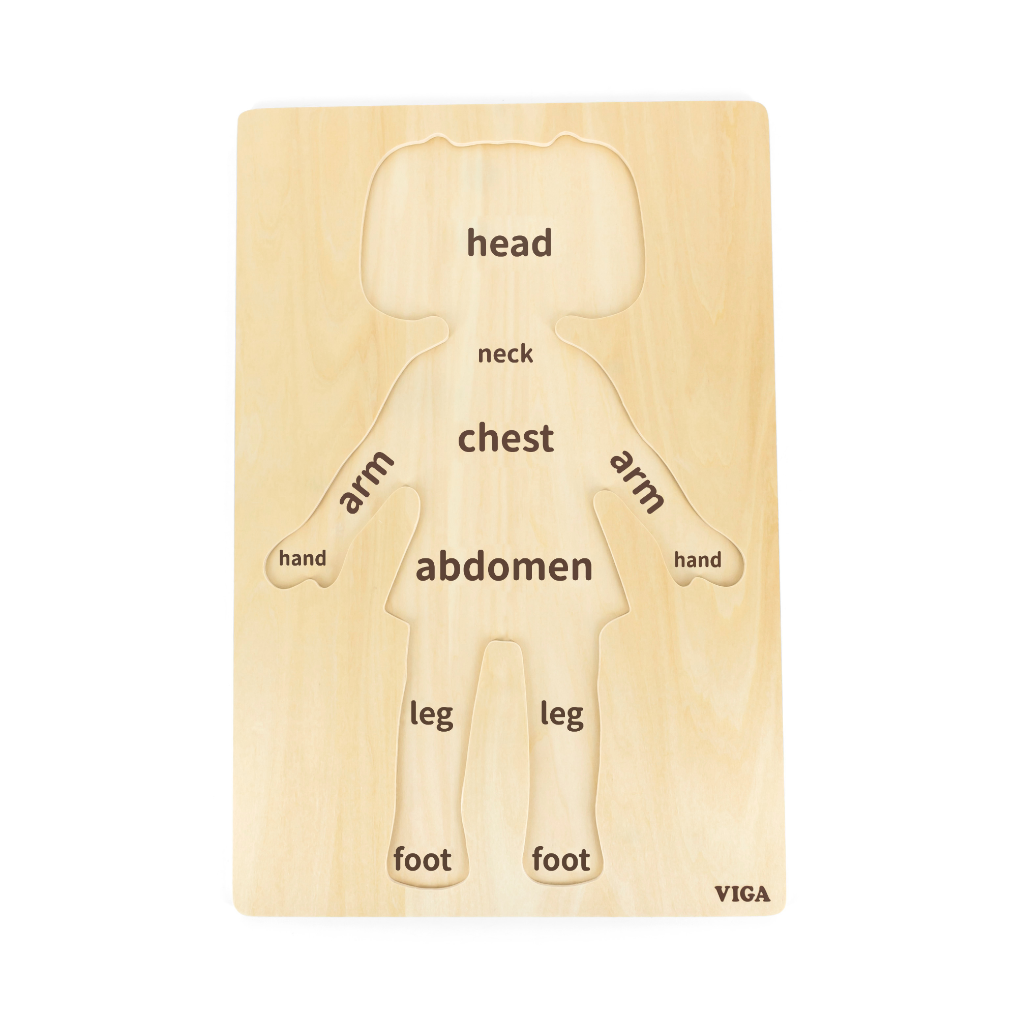 لعبة أحجية مقبض الجسم للبنات من فيجا، مكونة من 12 قطعة، لعبة مونتيسوري الخشبية، تنمي المهارات الحسية والإدراكية والحركية الدقيقة، لعبة تعليمية للأطفال غير سامة وصديقة للبيئة، مناسبة للأولاد والبنات من سن 18 شهرًا فما فوق