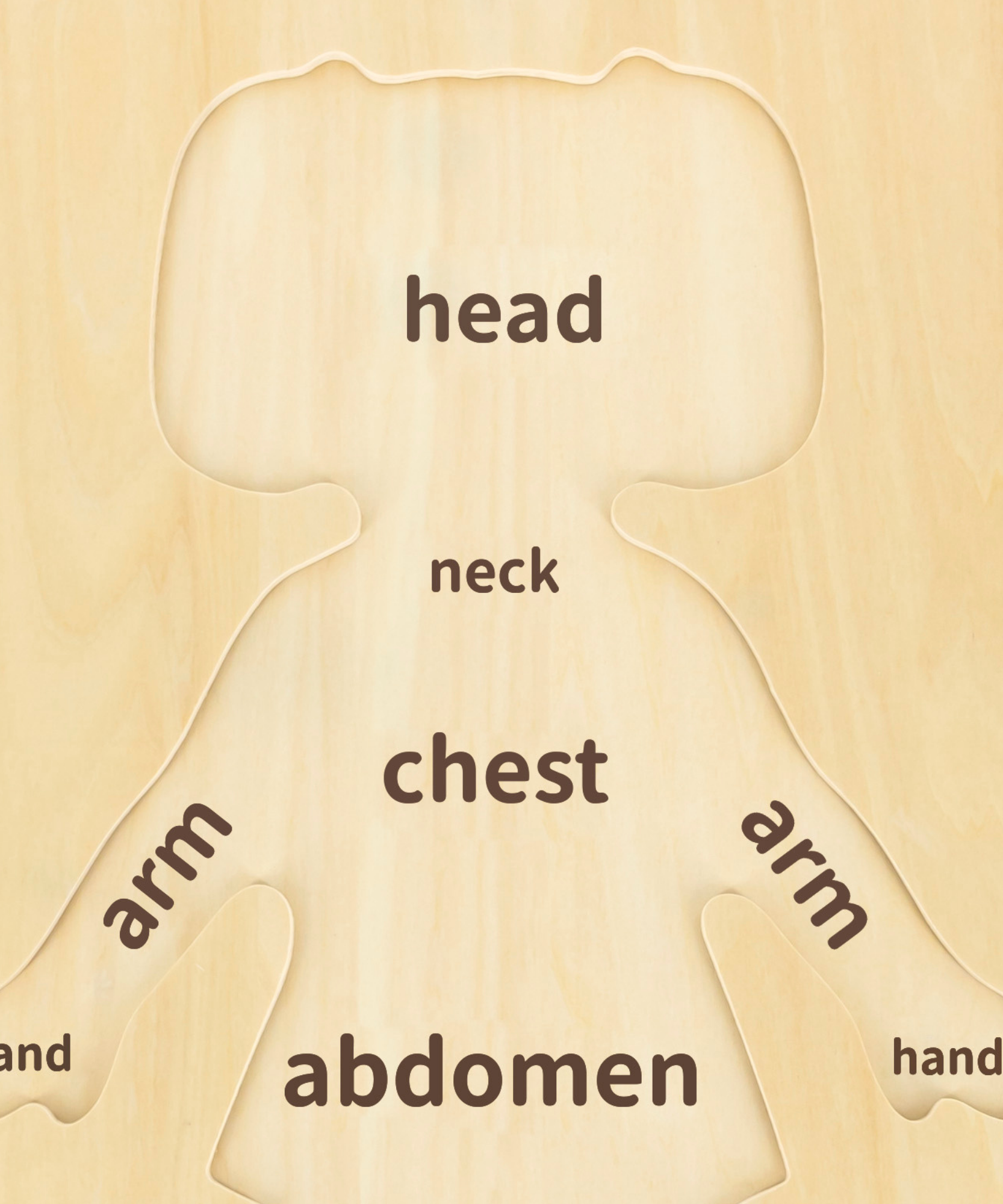 لعبة أحجية مقبض الجسم للبنات من فيجا، مكونة من 12 قطعة، لعبة مونتيسوري الخشبية، تنمي المهارات الحسية والإدراكية والحركية الدقيقة، لعبة تعليمية للأطفال غير سامة وصديقة للبيئة، مناسبة للأولاد والبنات من سن 18 شهرًا فما فوق