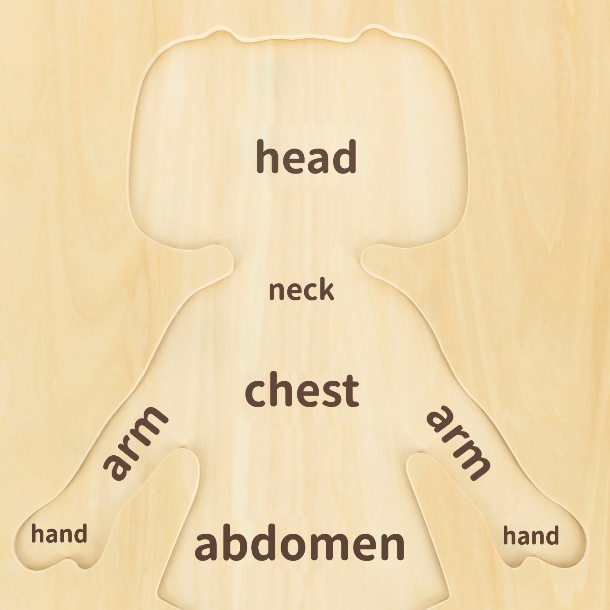 لعبة أحجية مقبض الجسم للبنات من فيجا، مكونة من 12 قطعة، لعبة مونتيسوري الخشبية، تنمي المهارات الحسية والإدراكية والحركية الدقيقة، لعبة تعليمية للأطفال غير سامة وصديقة للبيئة، مناسبة للأولاد والبنات من سن 18 شهرًا فما فوق