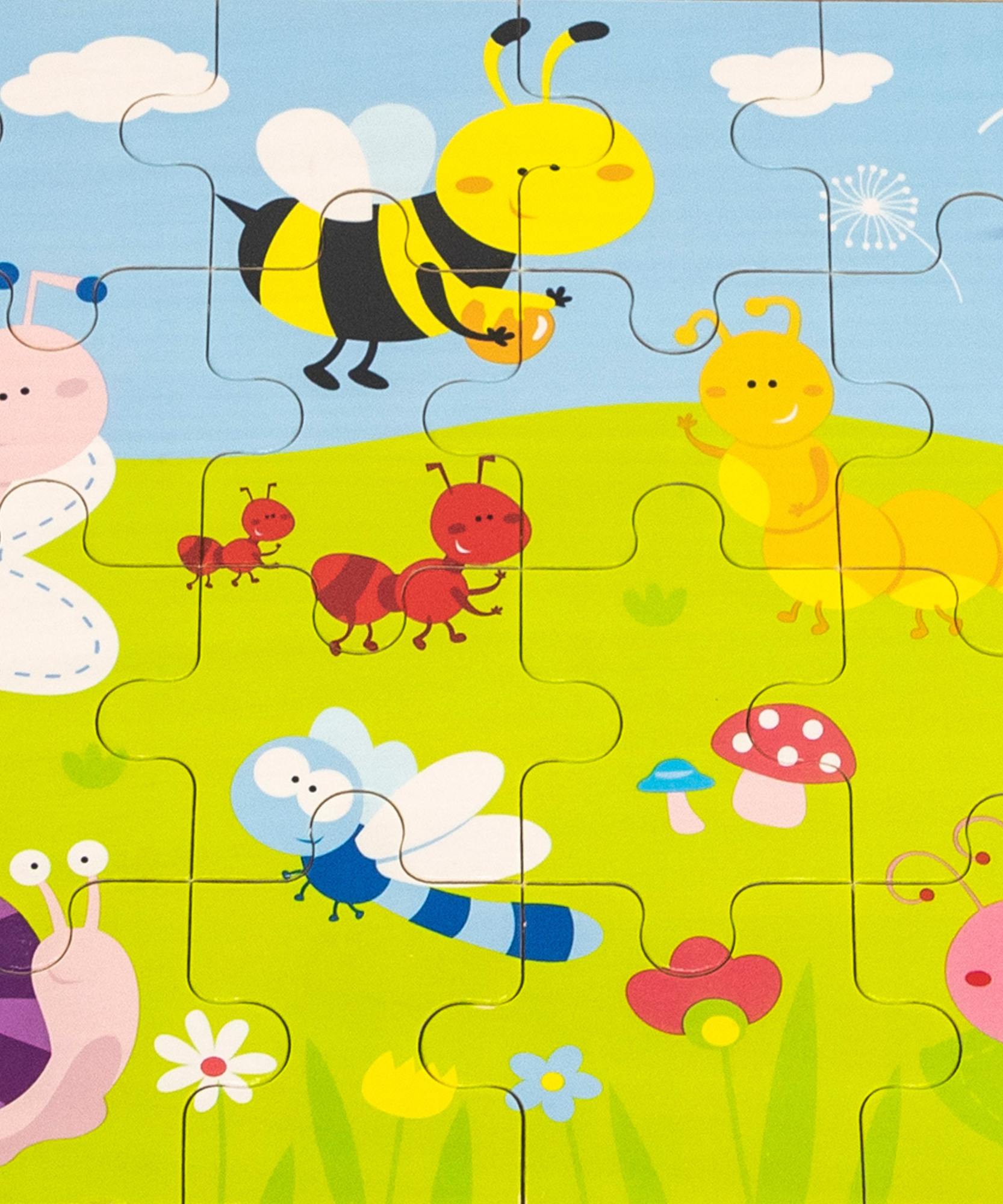 فيجا بارك، أحجية الصور المقطوعة من 24 قطعة، لعبة مونتيسوري الخشبية، تنمي المهارات الحسية والإدراكية والحركية الدقيقة، لعبة تعليمية للأطفال غير سامة وصديقة للبيئة، مناسبة للأولاد والبنات من عمر سنتين فما فوق