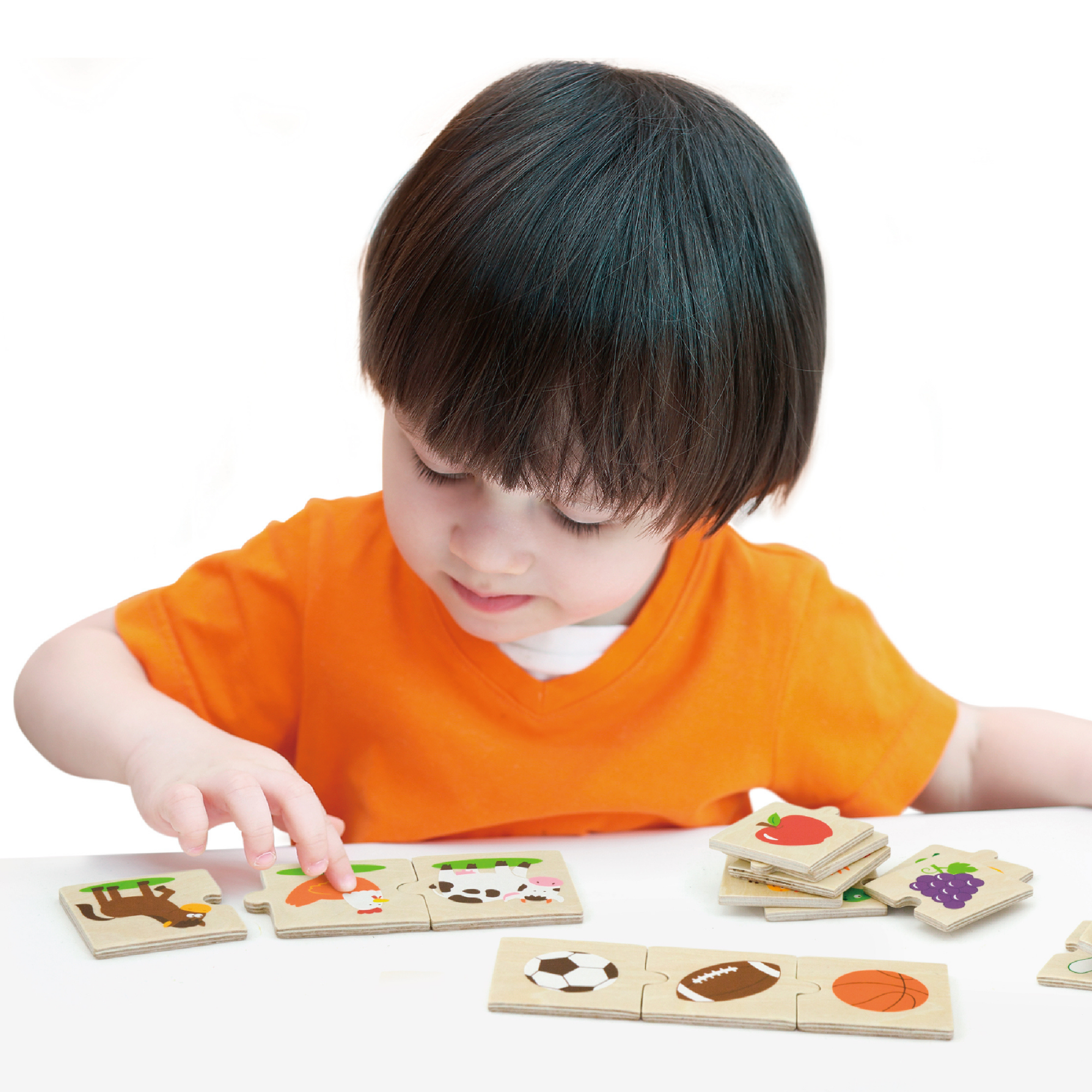 Viga General Categorizing, 24 Piece Mix & Match Puzzle, Montessori Wooden Toy, Develops Sensory, Cognitive & Fine Motor Skills, Non-Toxic & Eco-friendly Kids Educational Toy, 18M+