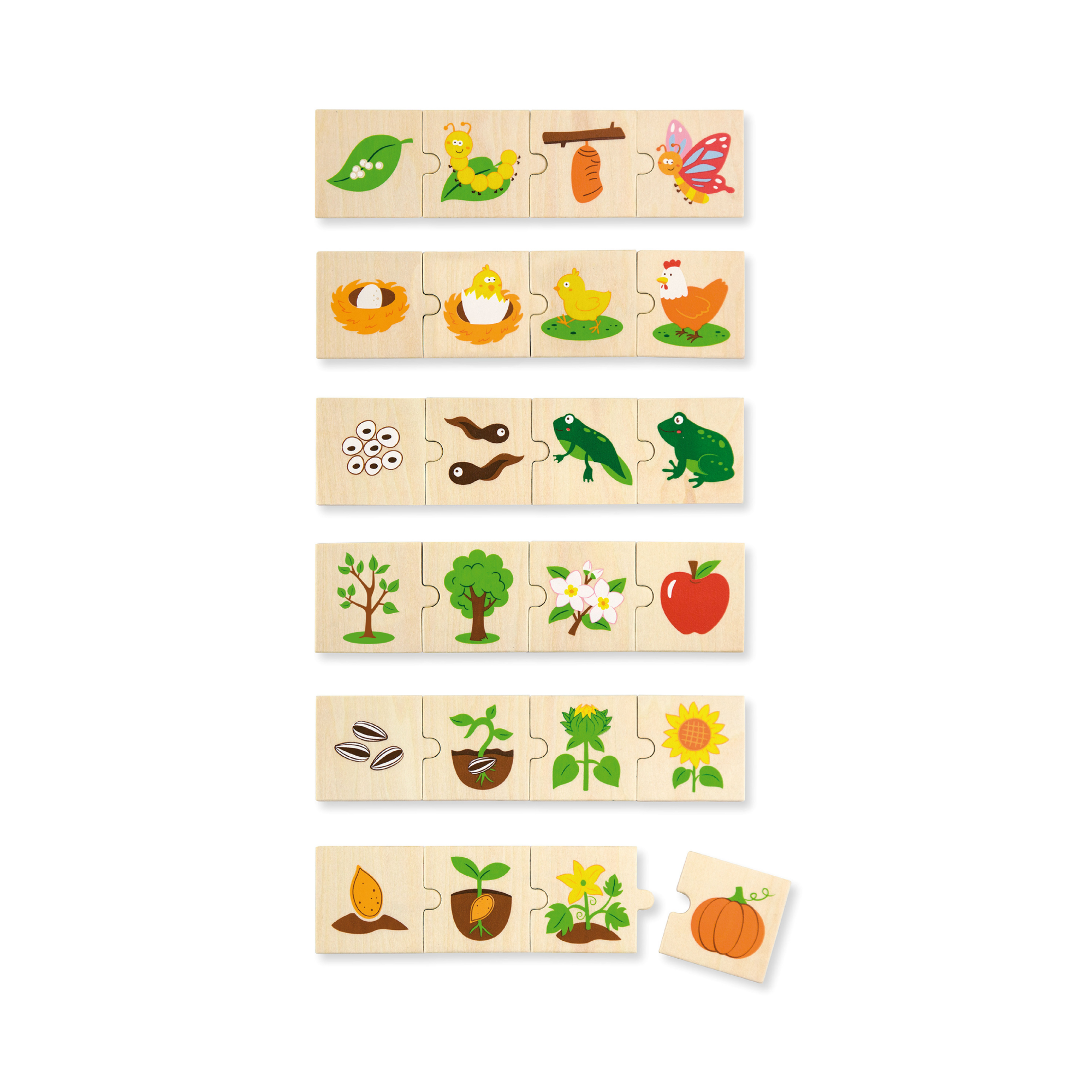 لعبة فيجا لتنمية النباتات والحيوانات، 24 قطعة، لعبة مونتيسوري خشبية، تُنمّي المهارات الحسية والإدراكية والحركية الدقيقة، غير سامة وصديقة للبيئة، مناسبة للأطفال من عمر 18 شهرًا فما فوق