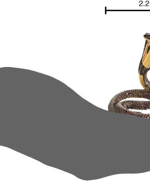 MOJO King Cobra Snake Wildlife Animal Model Toy Figure