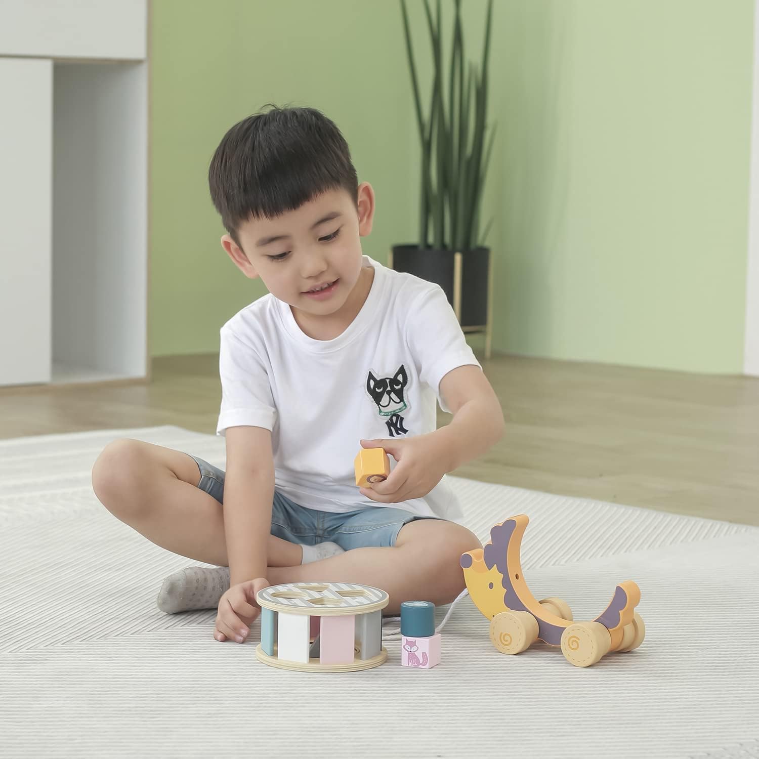 PolarB Hedgehog with Sorting Wheel, Wooden Pull-Along Educational Toy for Kids, Ages 2+