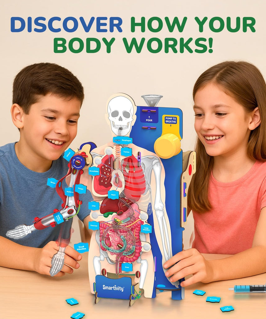 Smartivity Interactive Human Body Model for Kids 8-14 Years I Dynamic Body Parts & Organs + Learning Booklet | Birthday Gift for Boys & Girls | Educational Toy for 8,9,10,11,12,13,14 Years