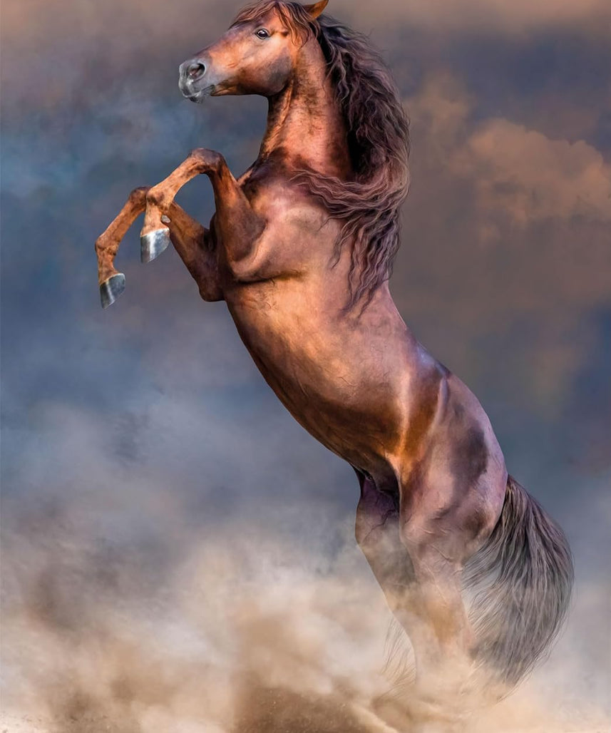 Clementoni 35521 Collection - Wild Red Stallion - 500 Pieces - Vertical Jigsaw Puzzle, Fun for Adults, Made in Italy, Multi-Colour