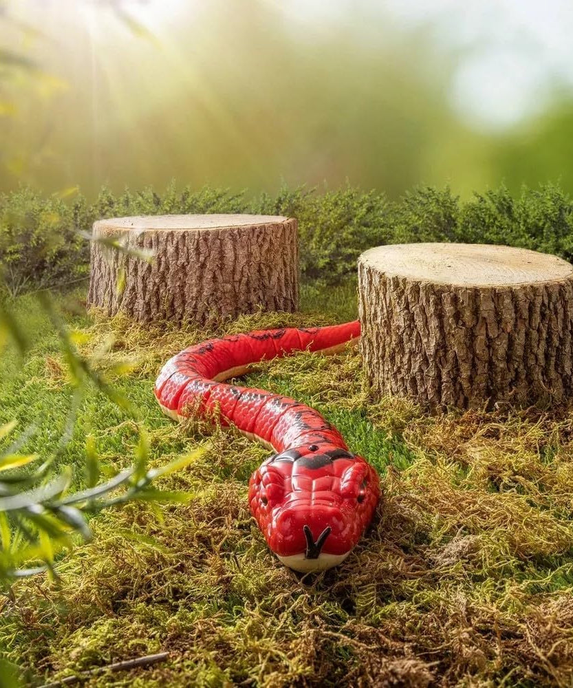 Terra By Battat Batteries: 5 X Aaa Included Rainbow Boa Infrared Remote Control Snake With Light Up Eyes Electronic Animal Toys And Playsets For Kids Aged 6 And Up, An2800Z