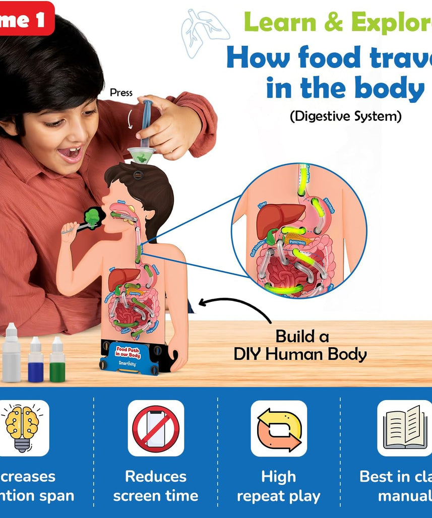 Smartivity Digestive System Working Model DIY STEM Toy for Kids 6+ Years, Human Body Food and Nutrition Science Kit, Educational Gift for Boys and Girls, Multicolor