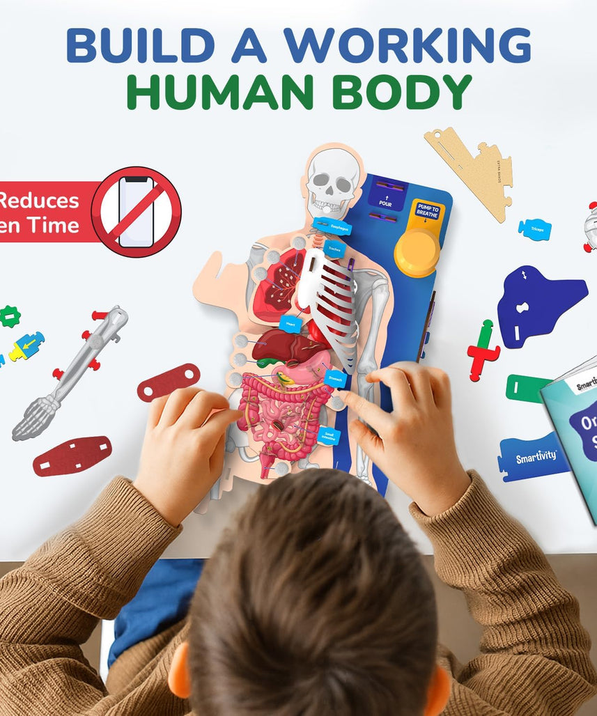 Smartivity Interactive Human Body Model for Kids 8-14 Years I Dynamic Body Parts & Organs + Learning Booklet | Birthday Gift for Boys & Girls | Educational Toy for 8,9,10,11,12,13,14 Years
