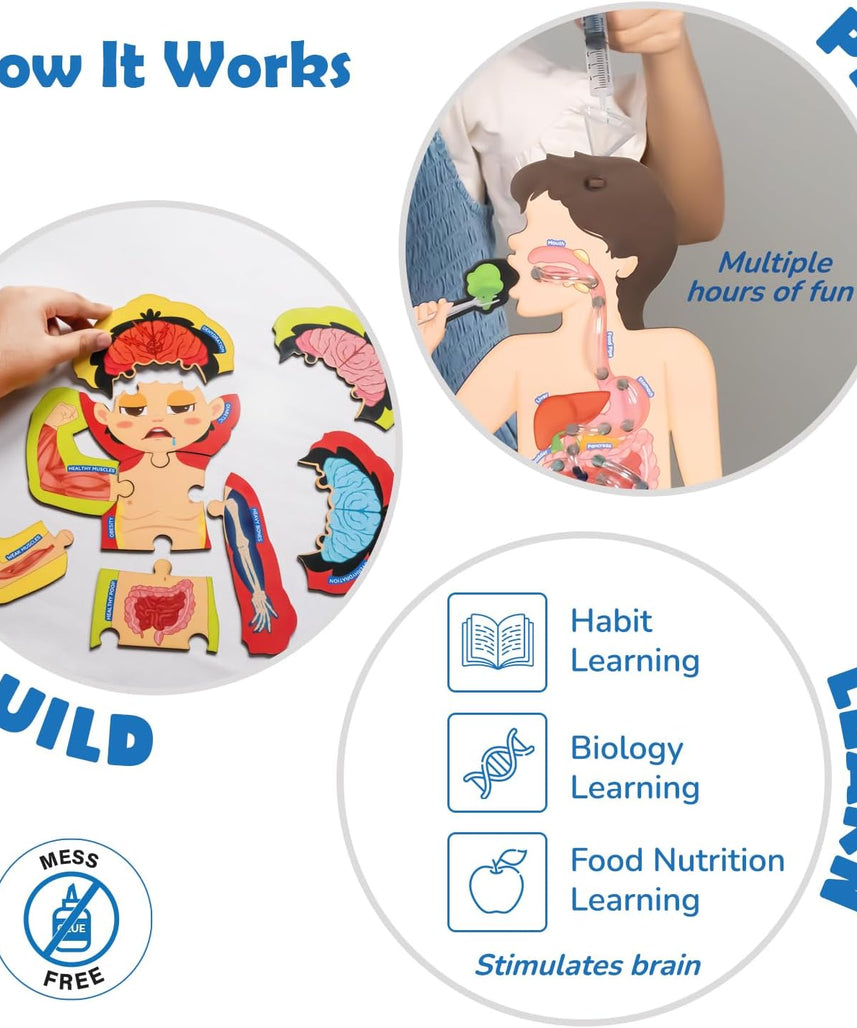 Smartivity Human Body Toy for Kids 6-12 Years|Body Organs & Functions|Birthday Gifts for Unisex|DIY Science Toys 6,7,8,9,10,11,12,13,14 Years Old I STEM Building Set Wooden Construction Game,79 Pcs