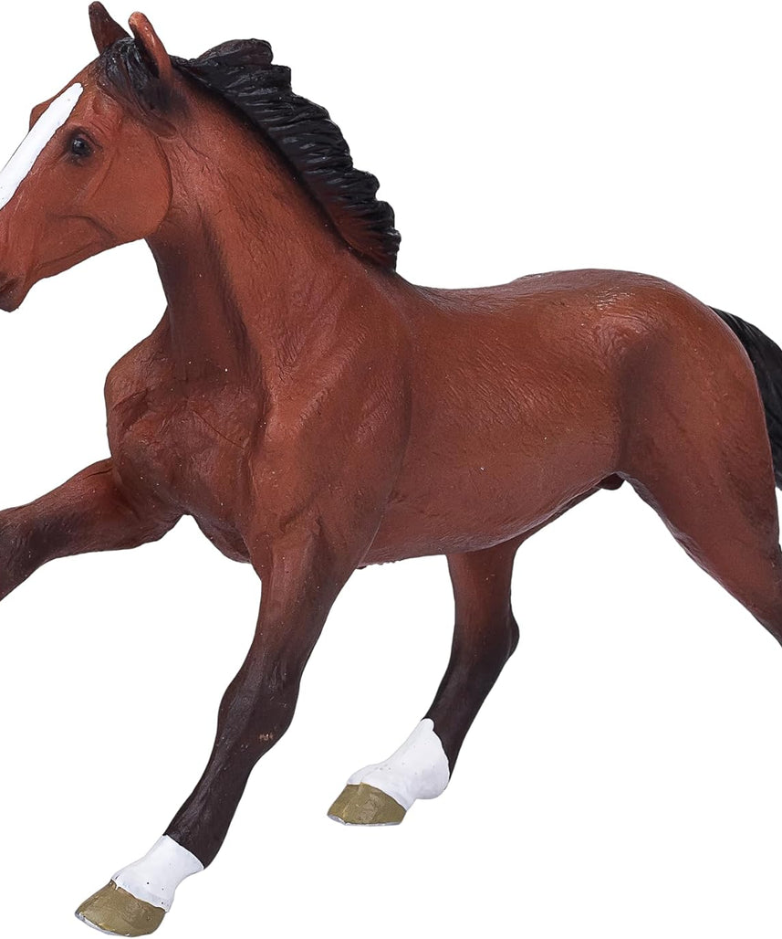 Mojo Thoroughbred