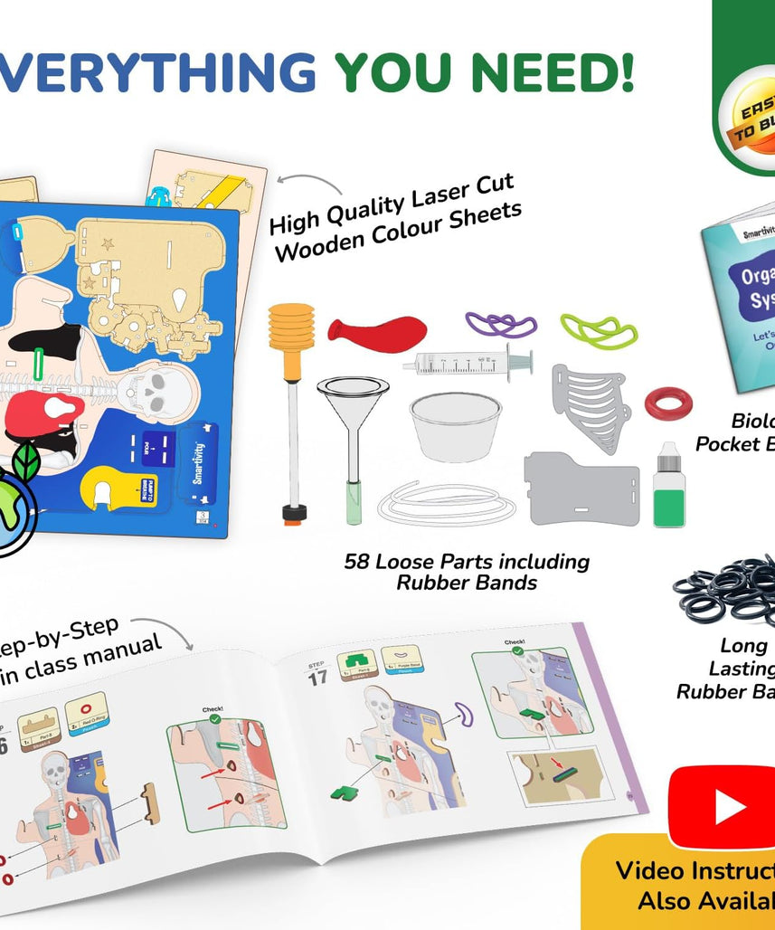 Smartivity Interactive Human Body Model for Kids 8-14 Years I Dynamic Body Parts & Organs + Learning Booklet | Birthday Gift for Boys & Girls | Educational Toy for 8,9,10,11,12,13,14 Years