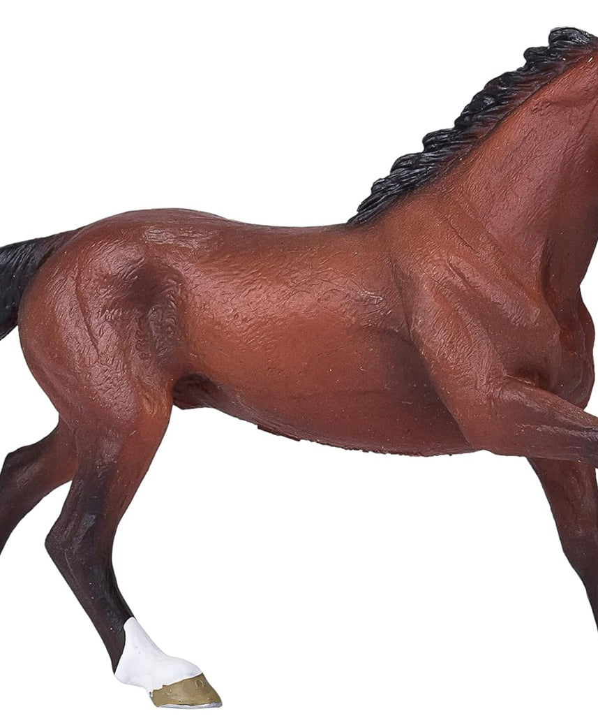 Mojo Thoroughbred