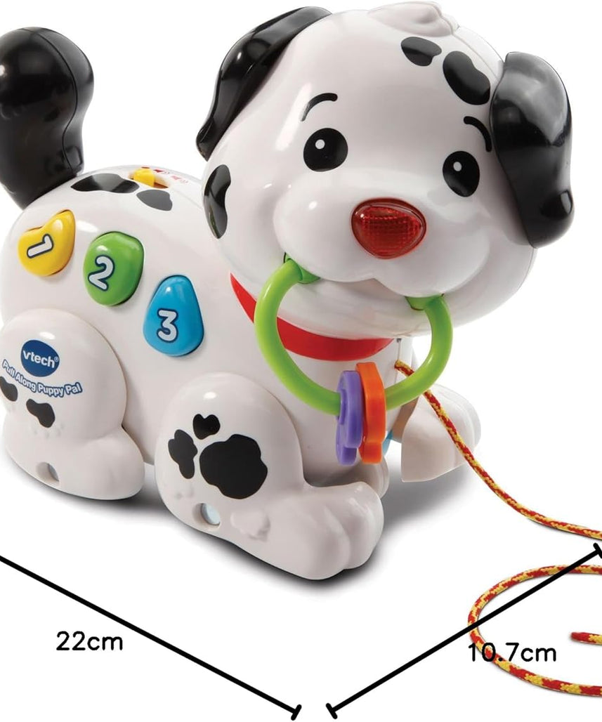 Vtech Pull Along Puppy Pal, Multi-Colour, 80-502803