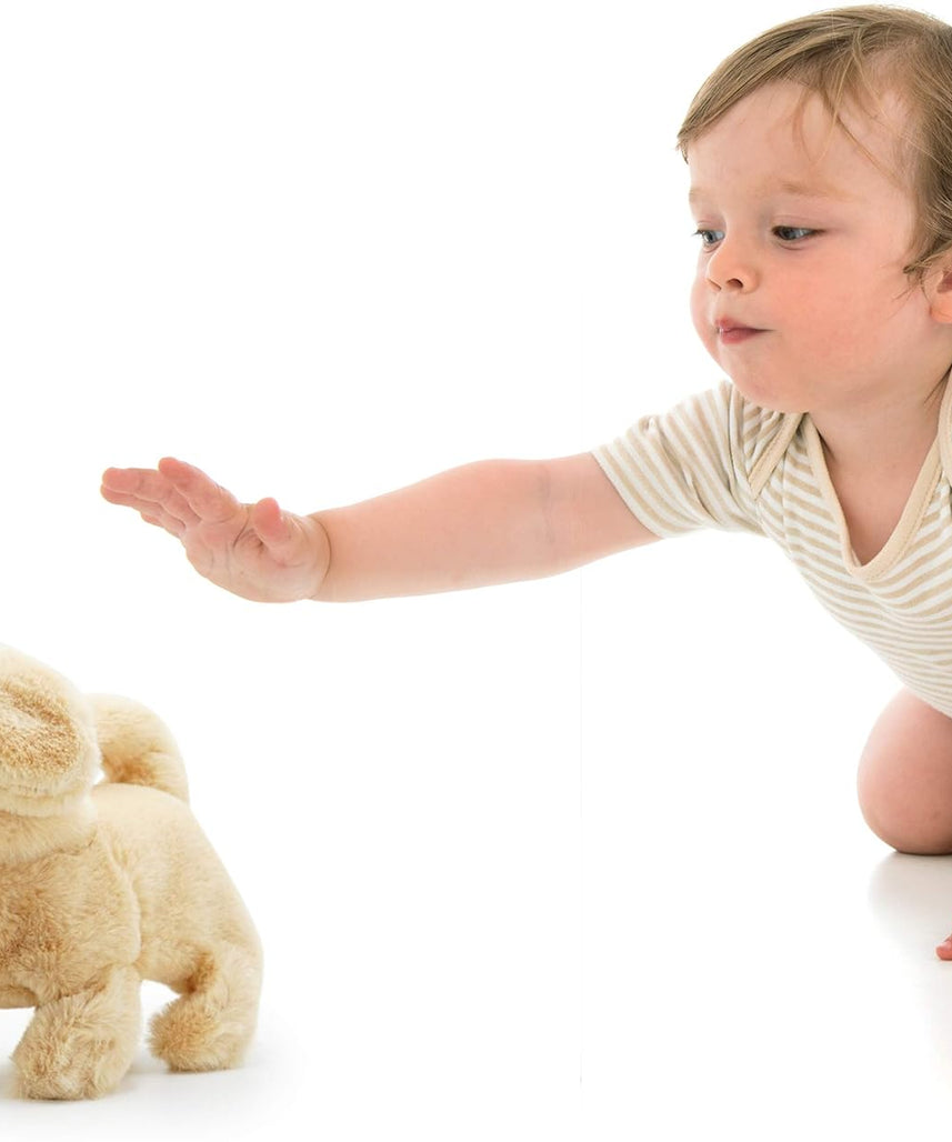 Pugs At Play Goldie Walking Dog Interactive Plush Toy with Bark Sound and Wagging Tail for Kids Ages 3 to 6