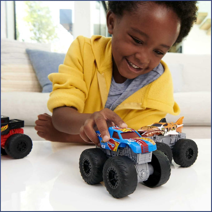 Hot Wheels HDX61 Monster Trucks, Multicolour