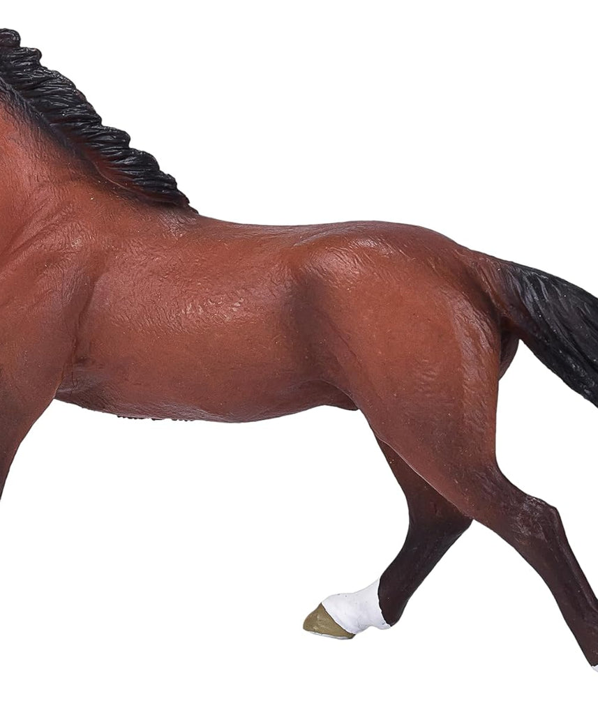 Mojo Thoroughbred