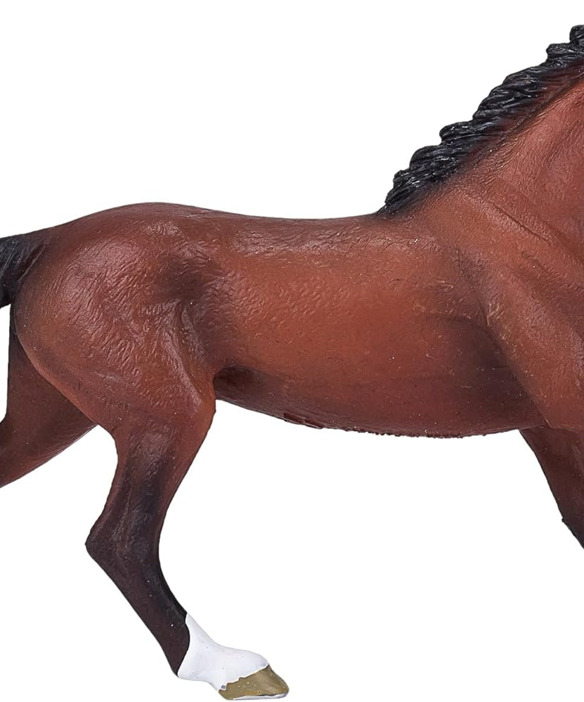 Mojo Thoroughbred